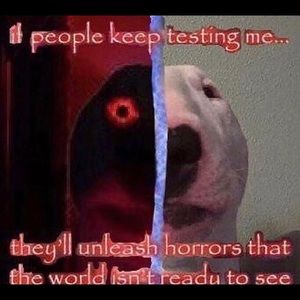 Meet your Posher, Braydn